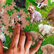 Laden Sie das Bild in den Galerie-Viewer, Poop-Hunde Puzzle 1000 Stück