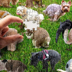 Poop-Hunde Puzzle 1000 Stück