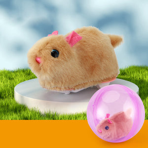 Hamster läuft Ballspielzeug