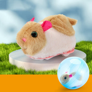 Hamster läuft Ballspielzeug