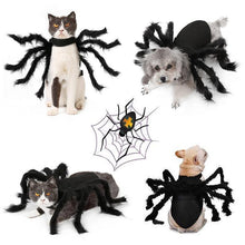 Laden Sie das Bild in den Galerie-Viewer, Spinnenkostüm für Haustiere