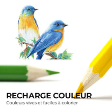 Laden Sie das Bild in den Galerie-Viewer, Ensemble de Crayons de Couleur Grasse